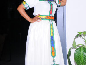 Modern Simplicity Cultural Habesha Dress Elegant Habesha Kemis